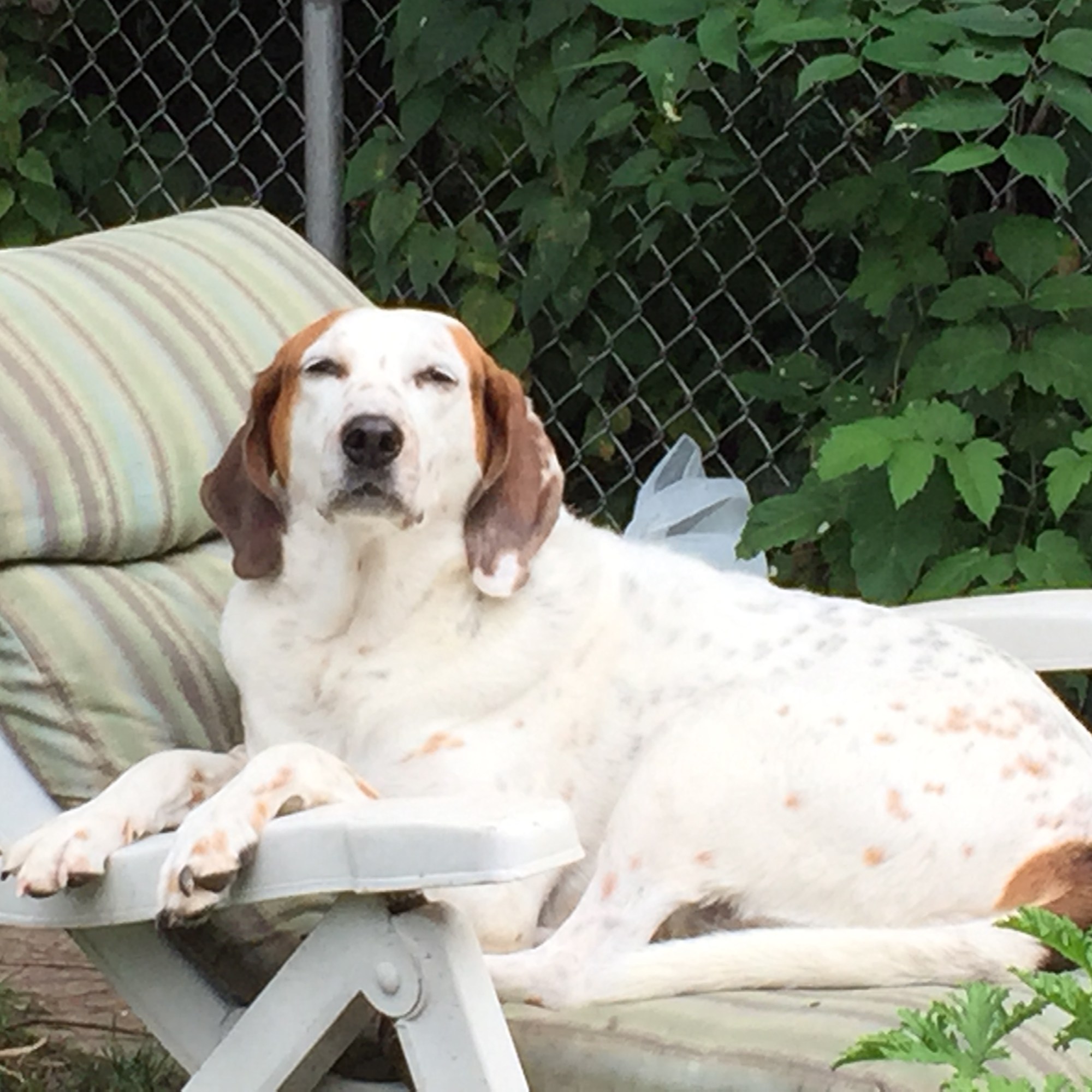 Photo by Maryann Jordan